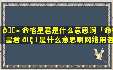 🌻 命格星君是什么意思啊「命格星君 🦟 是什么意思啊网络用语」